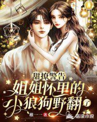 轮回图：乱世迷踪